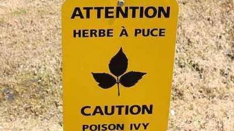 Carillon Canal - Ottawa-River-Military-Canals30.jpg