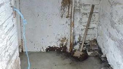 Not Long for This World - Clarence-Rockland, Ontario