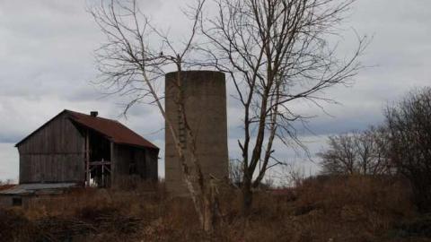 almond - Almond-Village7.jpg