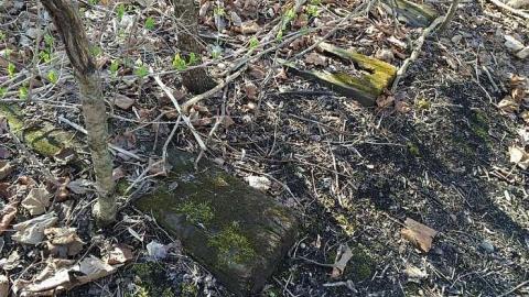 Railroad Bridge Remains photo 5