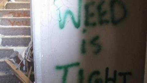 Absolutely Destroyed - Old-Barrie-Road9.jpg