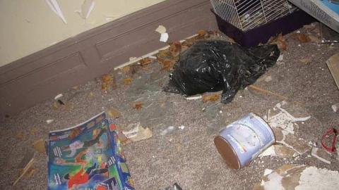 Absolutely Destroyed - Old-Barrie-Road11.jpg