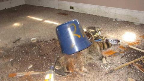 Absolutely Destroyed - Old-Barrie-Road14.jpg