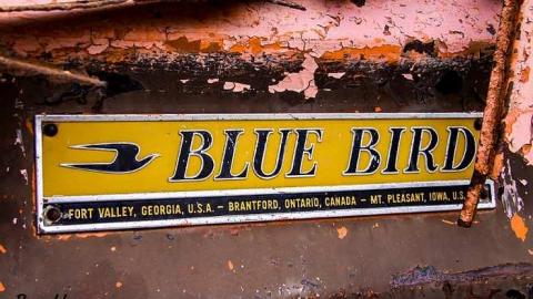 Shanty Bay Bus - Deepest-Darkest7.jpg