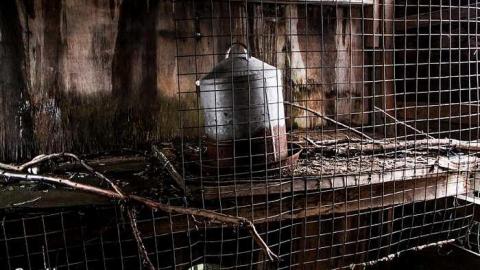 Shanty Bay Bus - Deepest-Darkest17.jpg