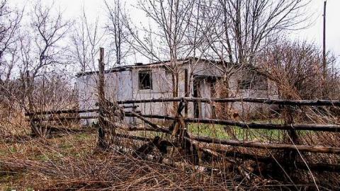 Shanty Bay Bus - Deepest-Darkest14.jpg