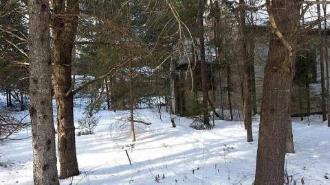 Abandoned church 2015 - Gelert-Ghost-Church14.jpg