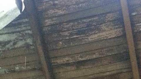 Abandoned church 2015 - Gelert-Ghost-Church24.jpg