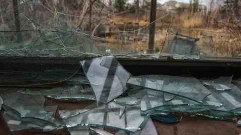 April 2015 - House-In-The-Swamp11.jpg