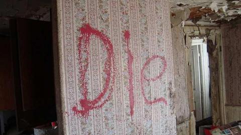 May 2nd 2015 - DSC03439.jpg