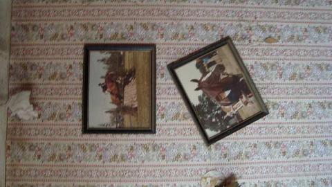 May 2nd 2015 - DSC03445.jpg