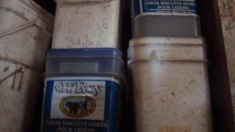 May 2nd 2015 - DSC03456.jpg