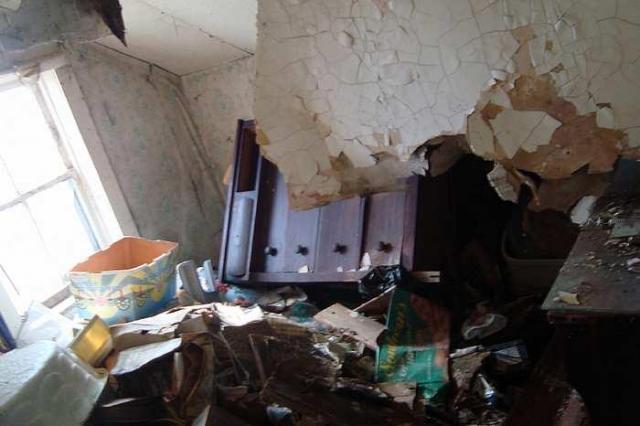 No More Farming photo 2