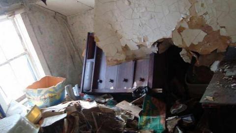 No More Farming photo 2