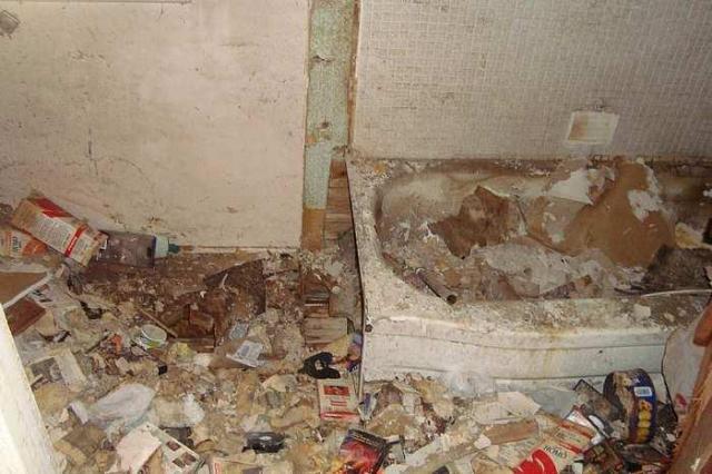 No More Farming photo 4