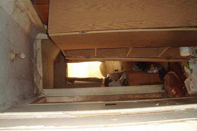 No More Farming photo 5