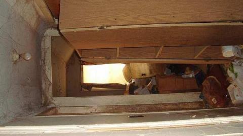 No More Farming photo 5