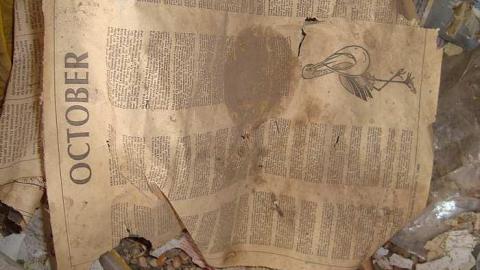 May 2nd 2015 - DSC03466.jpg