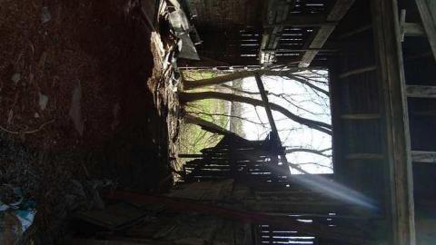 May 2nd 2015 - DSC03471.jpg