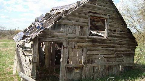 May 2nd 2015 - DSC03473.jpg