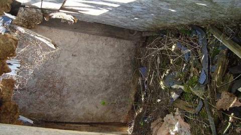 May 2nd 2015 - DSC03474.jpg