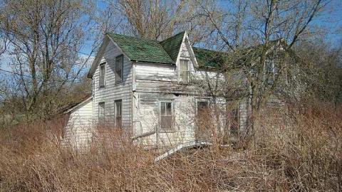 May 2nd 2015 - DSC03477.jpg