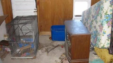 Big Red - the rock game! 105.jpg