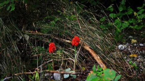 September 2014.  - Across-The-River49.jpg