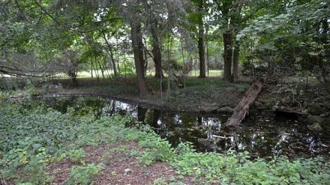 September 2014.  - Fanshawe-Beauty16.jpg