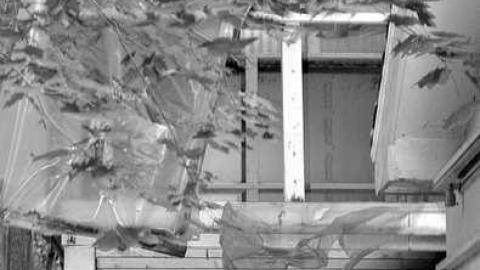 September 2014.  - Fanshawe-Beauty17.jpg