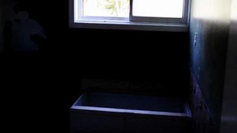 Random Find - DSC_0drfaf031.jpg