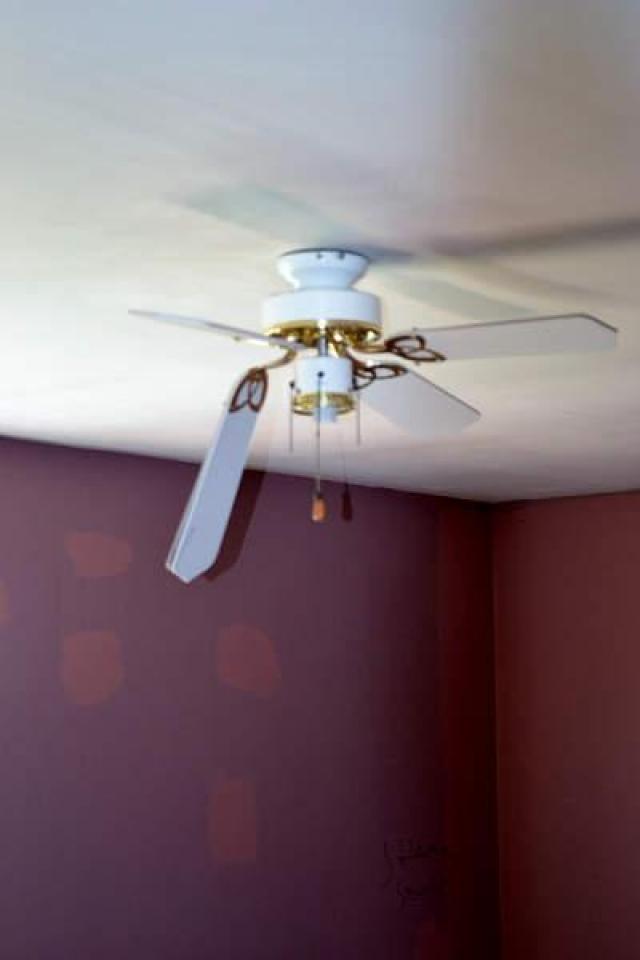 Random Find - DSC_0038.jpg