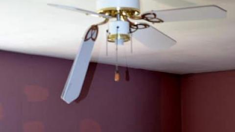 Random Find - DSC_0038.jpg