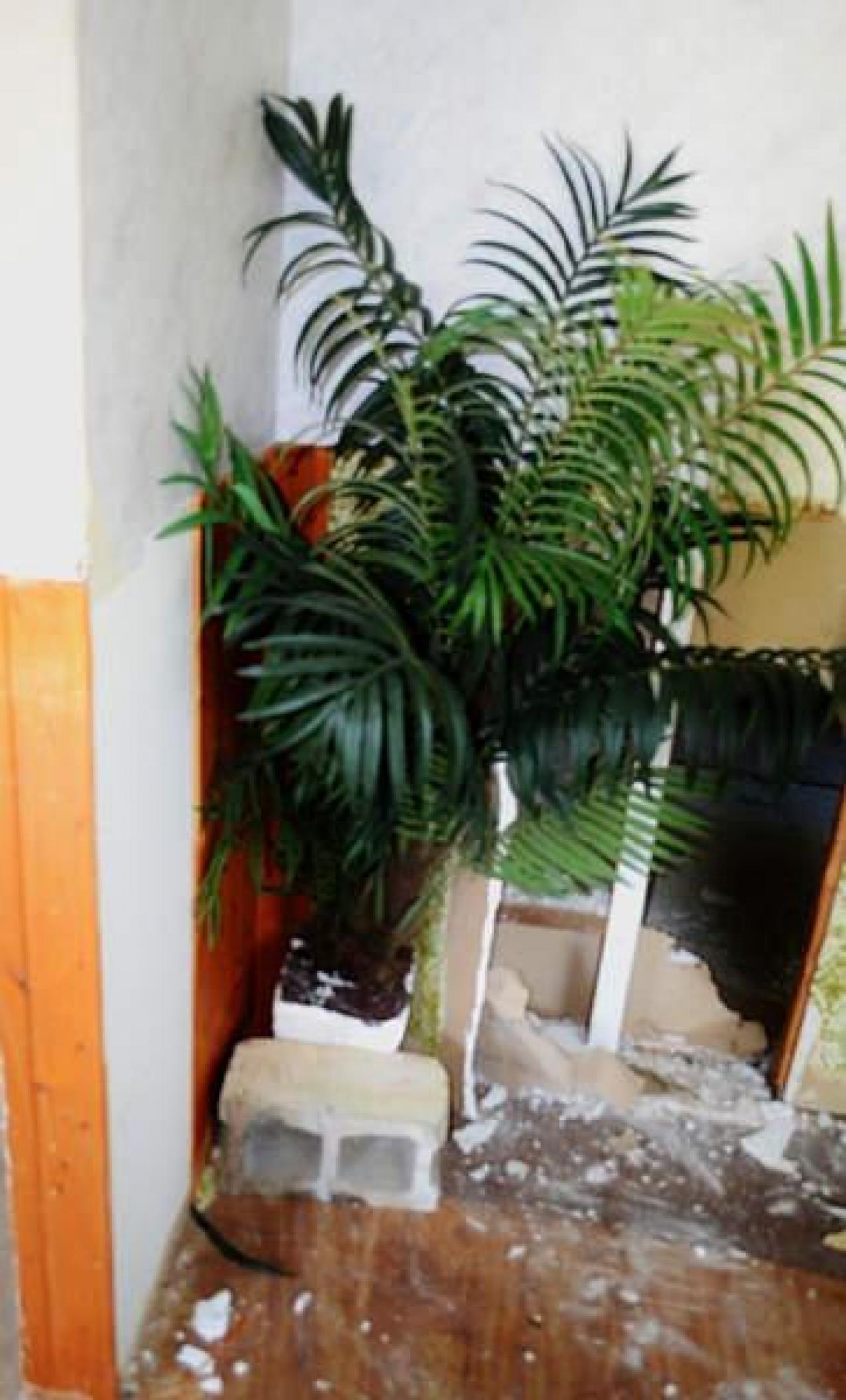 Random Find - dbintree.jpg