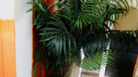 Random Find - dbintree.jpg