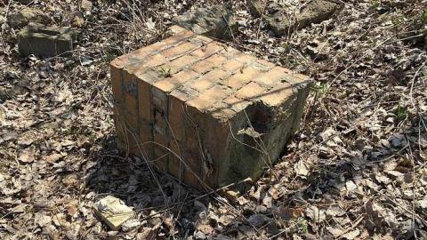 Alma Ruins - Alma-College--St.-Thomas87.jpg