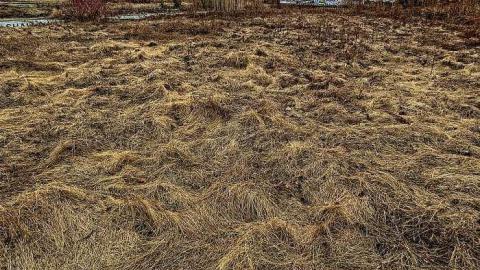 Amused but Abandoned - Wet-And-Wild-Waterpark16.jpg