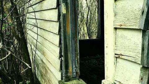 Nature's Revenge photo 4