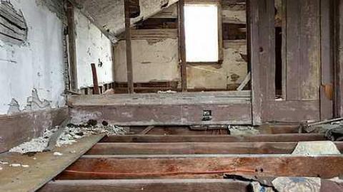 Nature's Revenge - Cavan Monaghan, Ontario