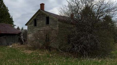 May 2015 - ziimage.jpg