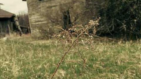 Nature's Revenge photo 5