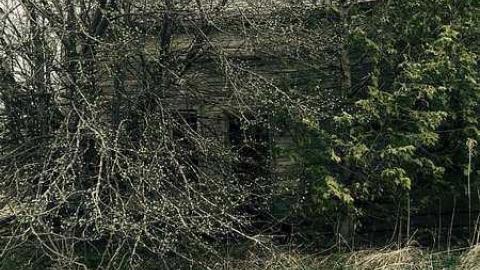 May 2015 - bhimage.jpg