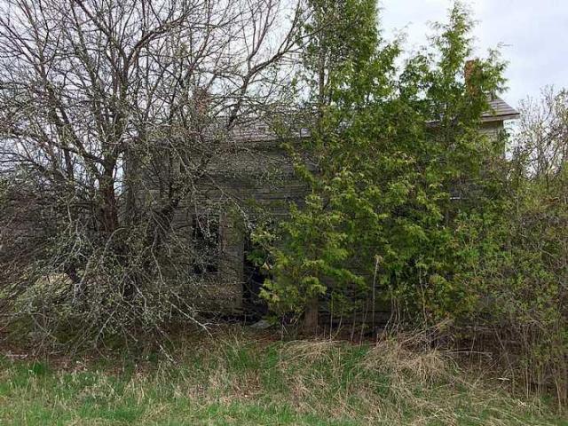 Nature's Revenge photo 3