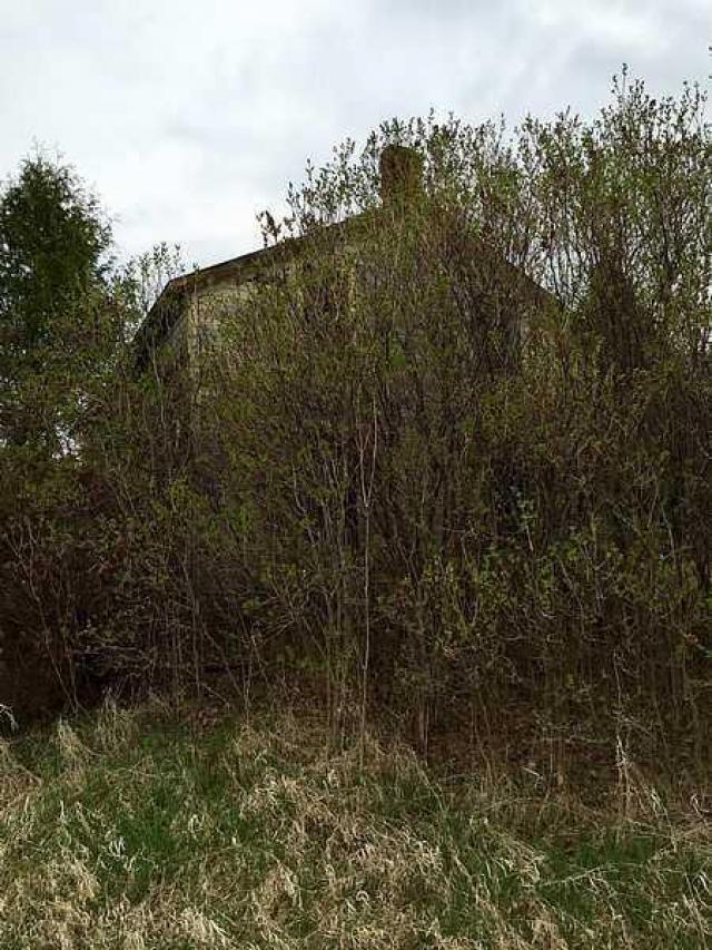 Nature's Revenge photo 2