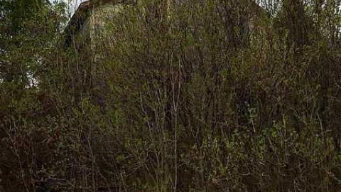 May 2015 - ahimage.jpg