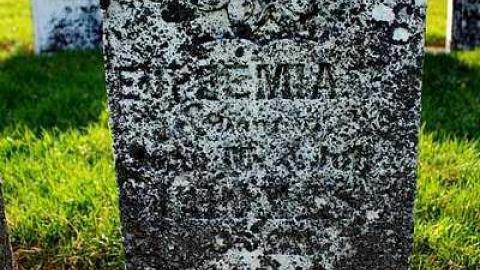 No Sunday Sales - Bristow-Pioneer-Cemetery23.jpg