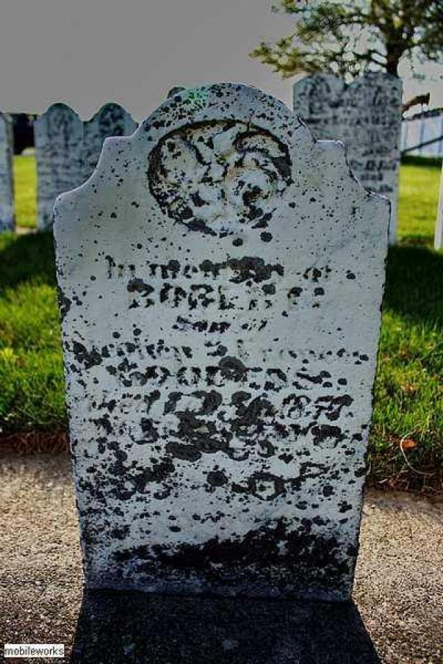 Bristow Pioneer Cemetery photo 4