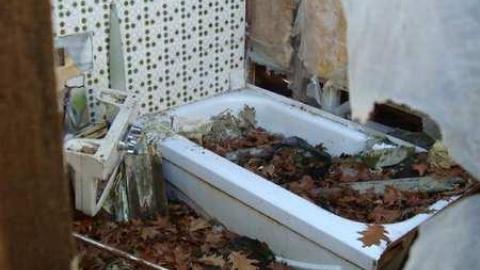 Marsh Cottage photo 3