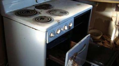 Marsh Cottage photo 4