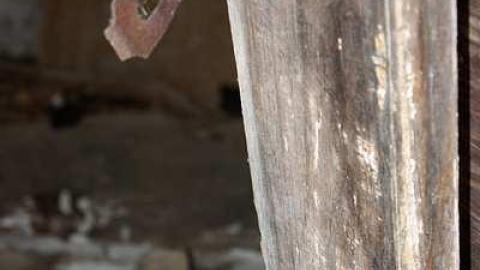 April 2015 - Farm-House36.jpg